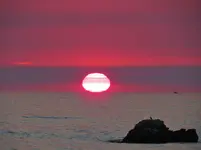 purple ball 010.webp purple ball 010.webp