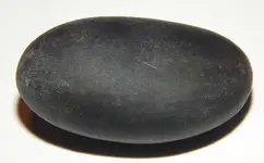 DSCN6512.webp