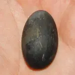DSCN6513.webp