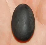 DSCN6514.webp