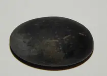 DSCN6515.webp