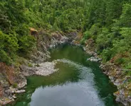 stout grove 002.webp