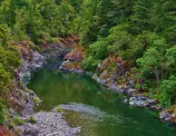 stout grove 005.webp