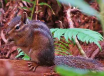 stout grove 044.webp