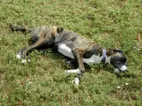 hot day 1.webp
