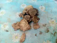 IMG_20170827_184302.webp