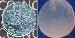 C A penny.webp