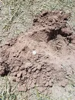20170811_114733.webp