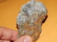 DSCN6764.webp
