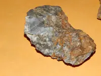 DSCN6765.webp