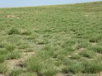 bike ride 062517 4.webp