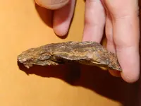 DSCN6766.webp
