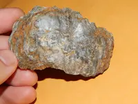 DSCN6767.webp