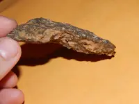 DSCN6768.webp