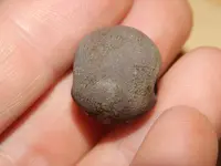 DSCN6945.webp