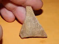 DSCN6769.webp