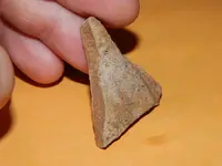 DSCN6770.webp