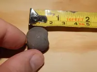 DSCN6951.webp