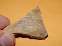 DSCN6771.webp