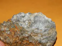 DSCN6772.webp