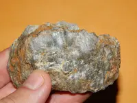 DSCN6774.webp