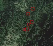 Red1.webp