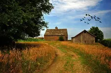 iowa.webp