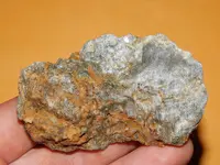 DSCN6775.webp