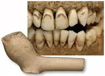 NA clay pipe 1.webp