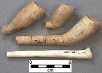 NA clay pipe.webp