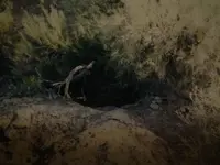 Hidden mine opening Worst-Roberts.webp