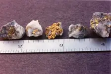 Hidden mine gold samples Worst-Roberts.webp
