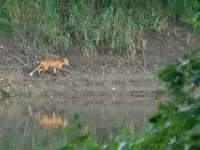 RSCN0337.webp RSCN0337.webp