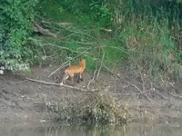 RSCN0338.webp RSCN0338.webp