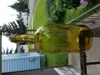 tmp_14515-20170818_13103014913901.webp