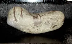 DSCN7347.webp