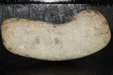 DSCN7349.webp