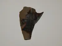 DSCN6517.webp