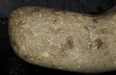 DSCN7350.webp