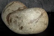 DSCN7352.webp