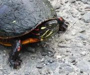 DSCN3623.webp