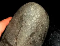 DSCN7357.webp