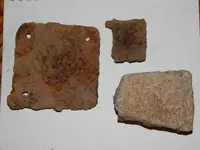 DSCN6776.webp