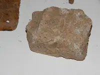 DSCN6782.webp