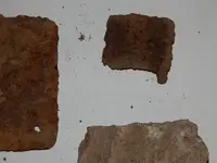 DSCN6783.webp