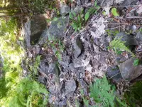 20170905_145510.webp