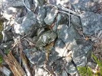 20170905_145630.webp