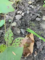 IMG_20170827_141702.webp