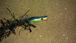 20170730_045935.webp