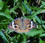 DSCN4339.webp